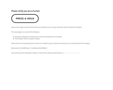 website thubmnail of SunnySports