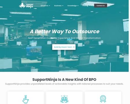 website thubmnail of Supportninja