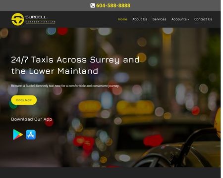website thubmnail of Surdelltaxi