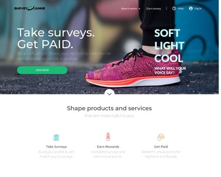 website thubmnail of SurveyJunkie