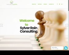 Thumbnail of Sylver Rain Consulting