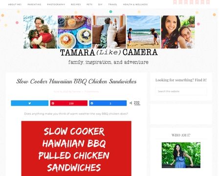website thubmnail of Tamaracamerablog
