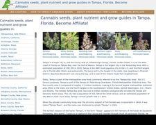 Thumbnail of Tampacannabis.cf
