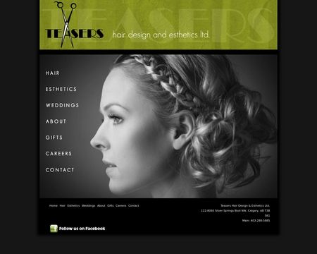 website thubmnail of TeasersHair