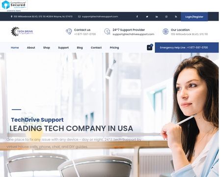 website thubmnail of TechDrive Support