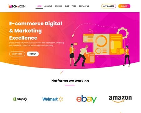 website thubmnail of Tech Ecom