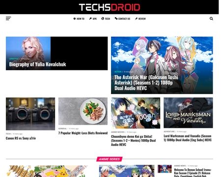 website thubmnail of Techsdroid