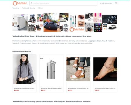 website thubmnail of Teeforthesoul