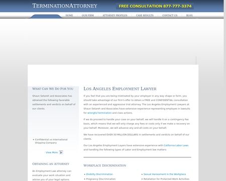 website thubmnail of Setareh Law Group