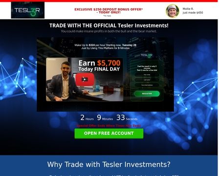 website thubmnail of Tesler Investments