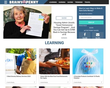 website thubmnail of Thebrainypenny