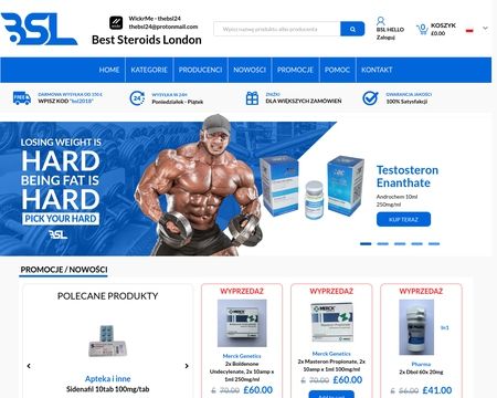 website thubmnail of Thebsl24