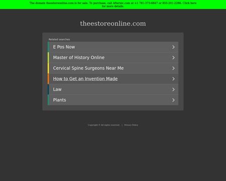 website thubmnail of TheEstoreOnline