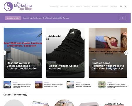 website thubmnail of Themarketingtipsblog