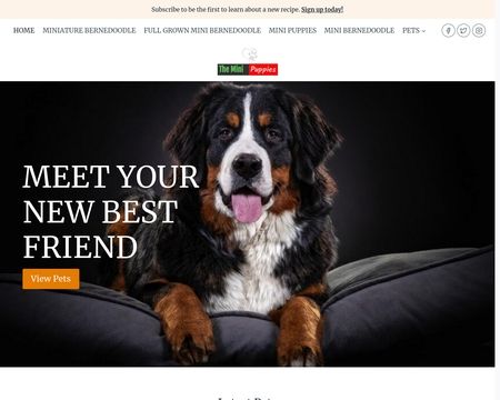 website thubmnail of Theminipuppies