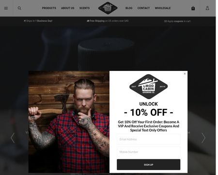 website thubmnail of TheModCabin