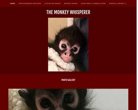 website thubmnail of The Monkey Whisperer