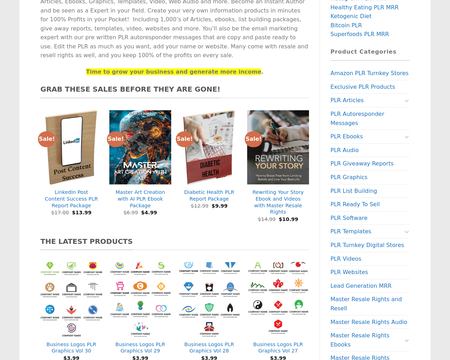 website thubmnail of The PLR Store