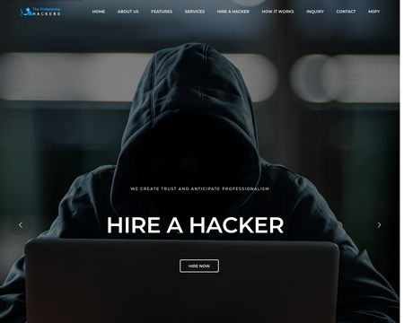 website thubmnail of The Professional Hackers