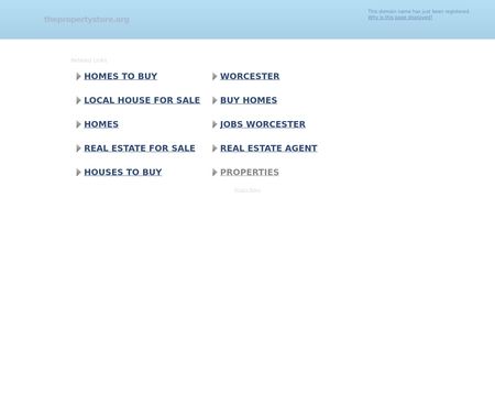 website thubmnail of ThePropertyStore.org