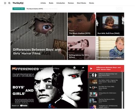 website thubmnail of TheSkyKid