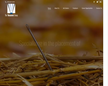 website thubmnail of TheVesumeGroup