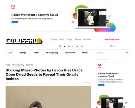 website thubmnail of Colossal