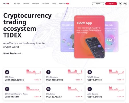 website thubmnail of Tidex