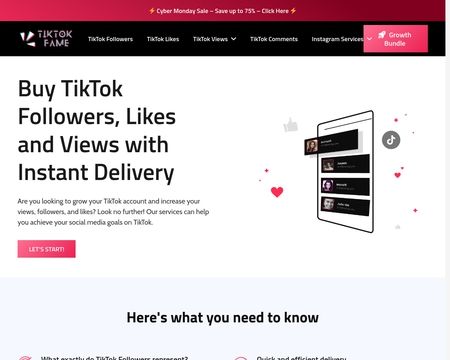 website thubmnail of TikTokFame