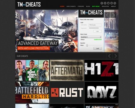 website thubmnail of TMCheats