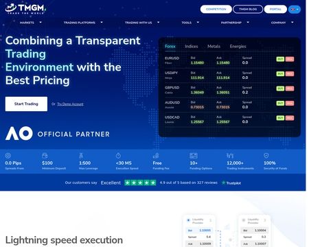 website thubmnail of TMGM