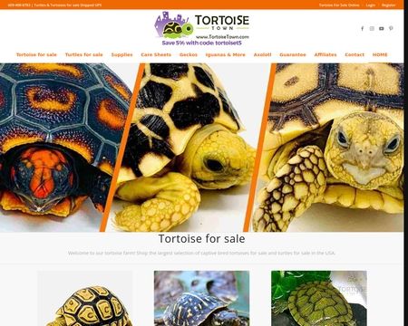 Tortoisetown