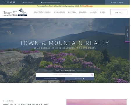 website thubmnail of Town and Mountain
