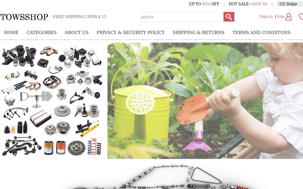 website thubmnail of Towsshop.top