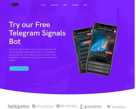 website thubmnail of Tradersoft.online