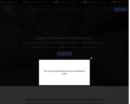 website thubmnail of Treasuredcap