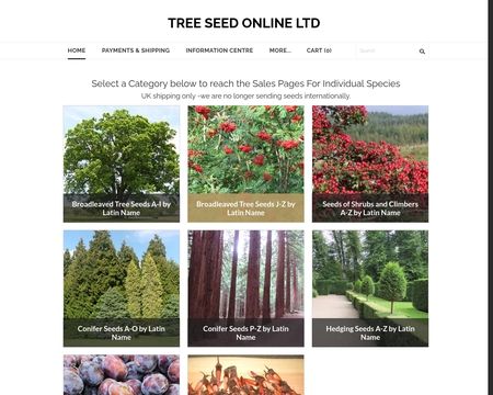 website thubmnail of Treeseedonline