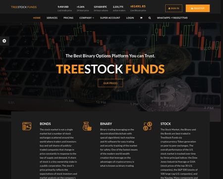 website thubmnail of Treestockfunds.online