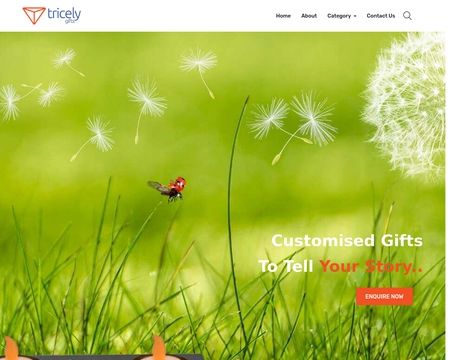 website thubmnail of Tricely Gift