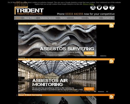 website thubmnail of Trident Asbestos Solutions