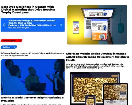 website thubmnail of Trophydevelopers