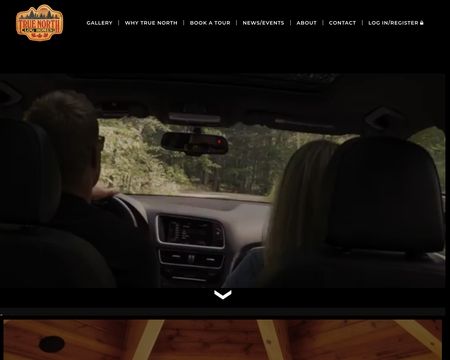 website thubmnail of True North Log Homes
