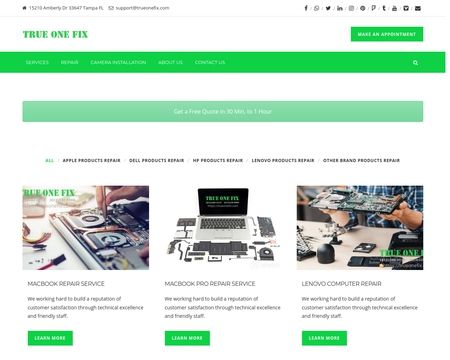 website thubmnail of Trueonefix