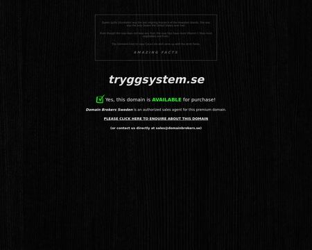 website thubmnail of Tryggsystem.se