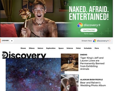 website thubmnail of Turbo Media