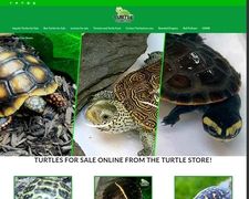 Thumbnail of Turtlestore.com