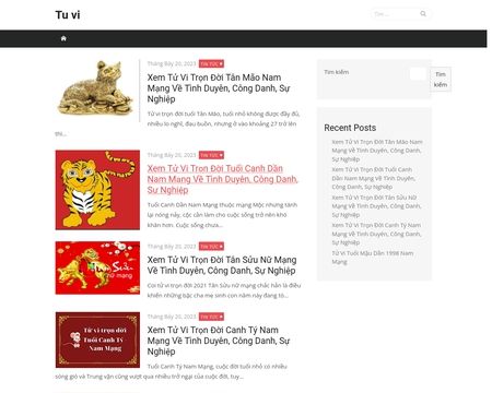 website thubmnail of Tuvi.info.vn
