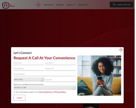 website thubmnail of TV Net Bundle