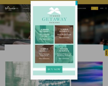 website thubmnail of Spa Castle Texas