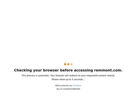 website thubmnail of Unsecure.remmont